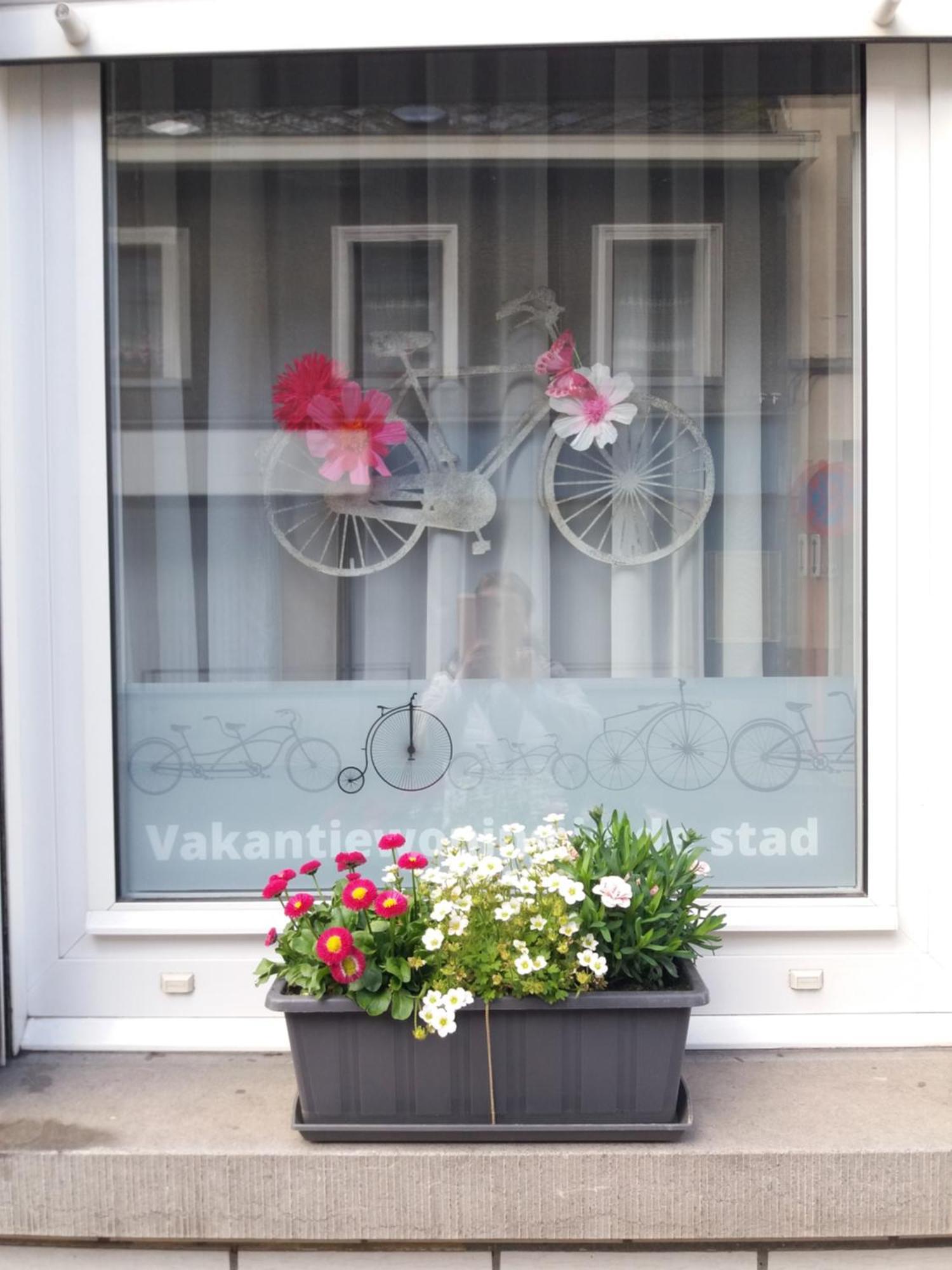 Velocipede Oudenaarde Vakantieverblijf 6 Pers (Adults Only) Экстерьер фото